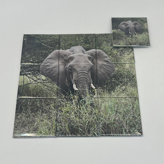 Custom Photo Mosaic Set - Split Image 2x2" Tile Display