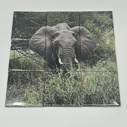 Custom Photo Mosaic Set - Split Image 2x2" Tile Display