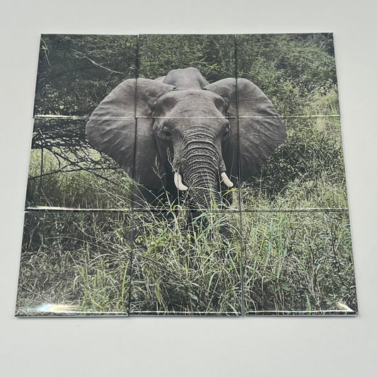 Custom Photo Mosaic Set - Split Image 2x2" Tile Display