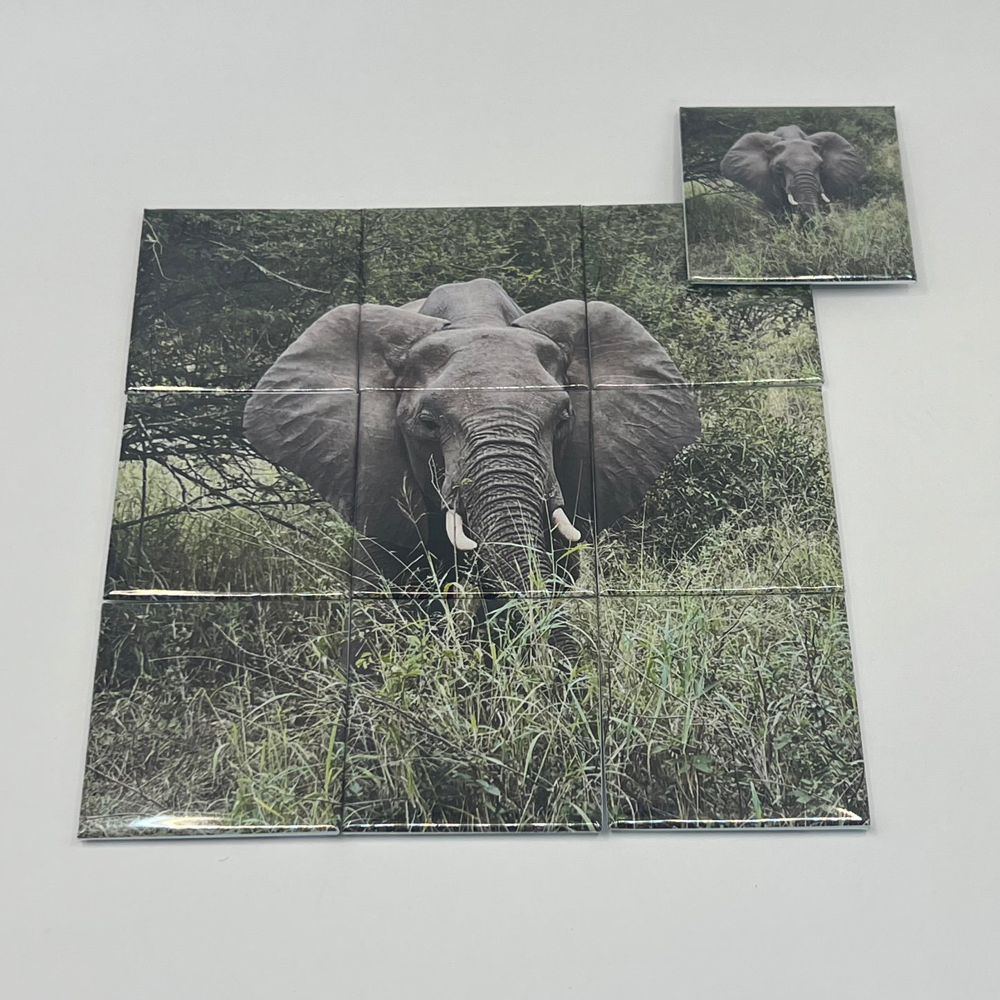 Custom Photo Mosaic Set - Split Image 2x2" Tile Display