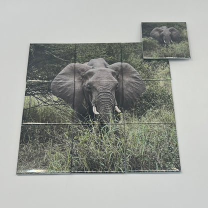 Custom Photo Mosaic Set - Split Image 2x2" Tile Display